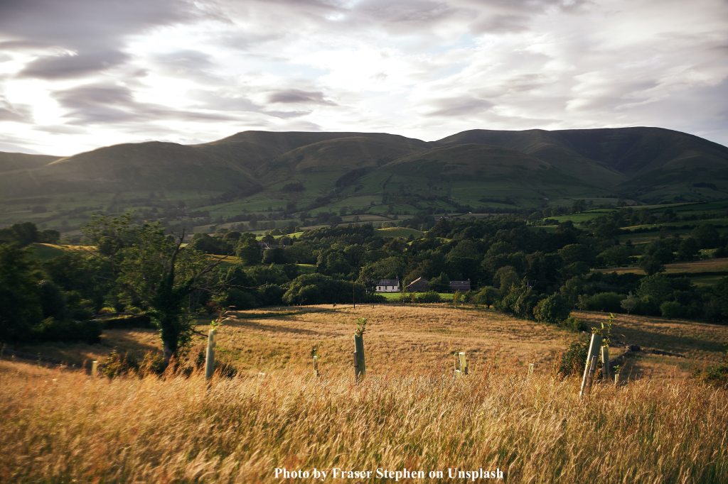 A representation of the moors as may have been seen by the Brontë sisters from their home in Haworth.