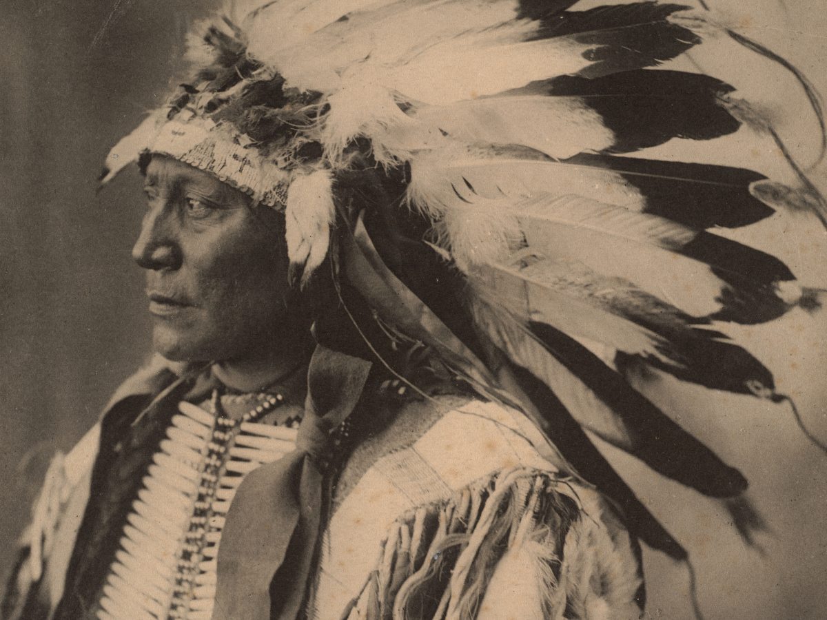 The Last of the Mohicans: Book&nbsp;Review